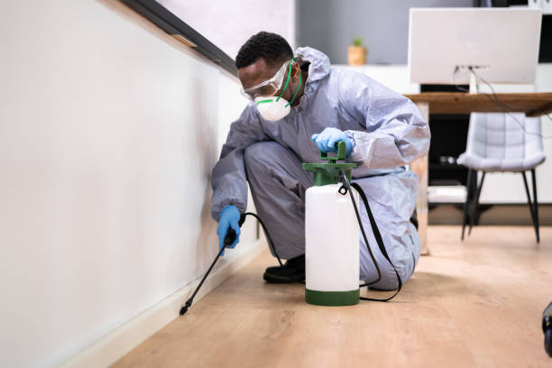 Best Fumigation Services  in Northridge, OH